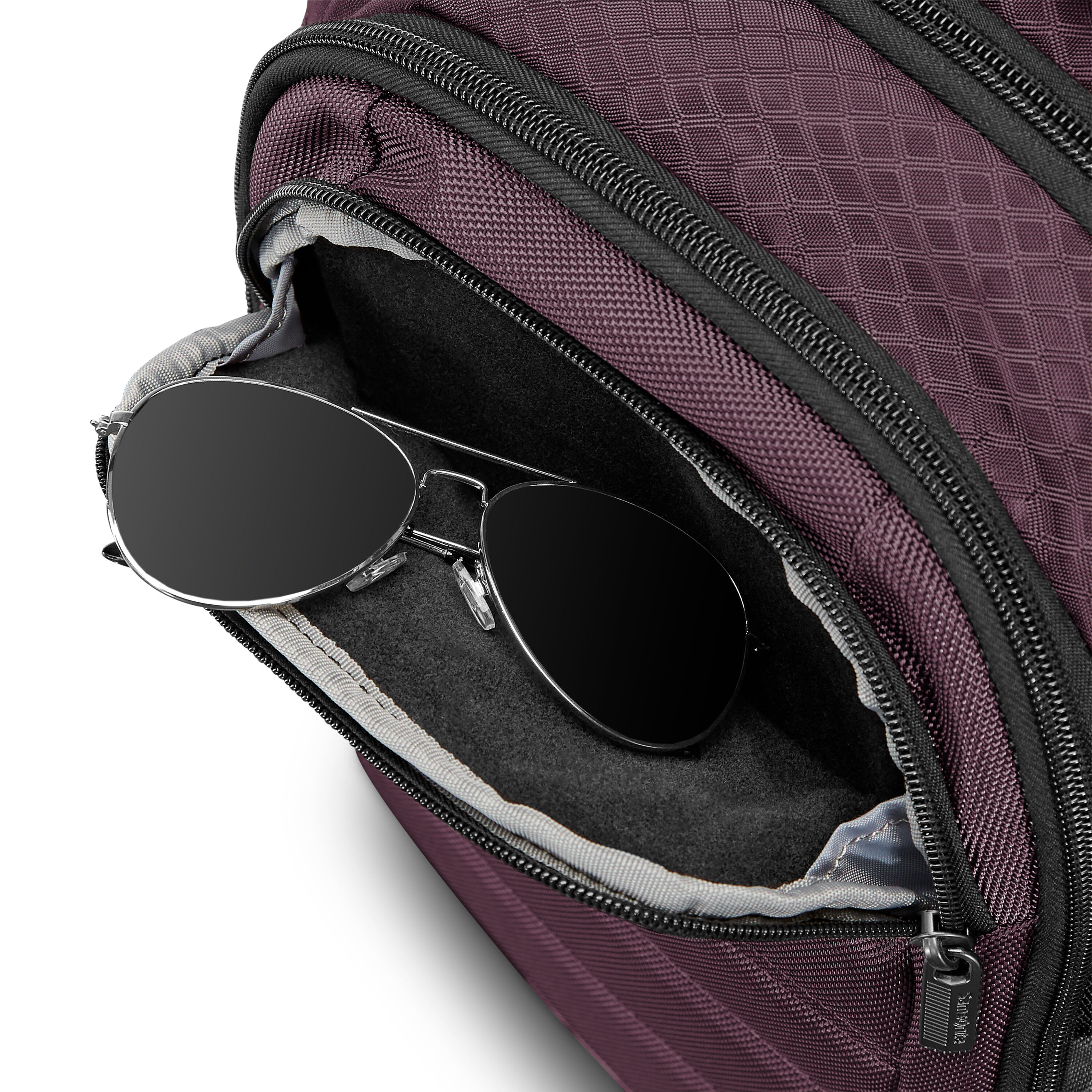 Carrier GSD Backpack in the color . image number 31
